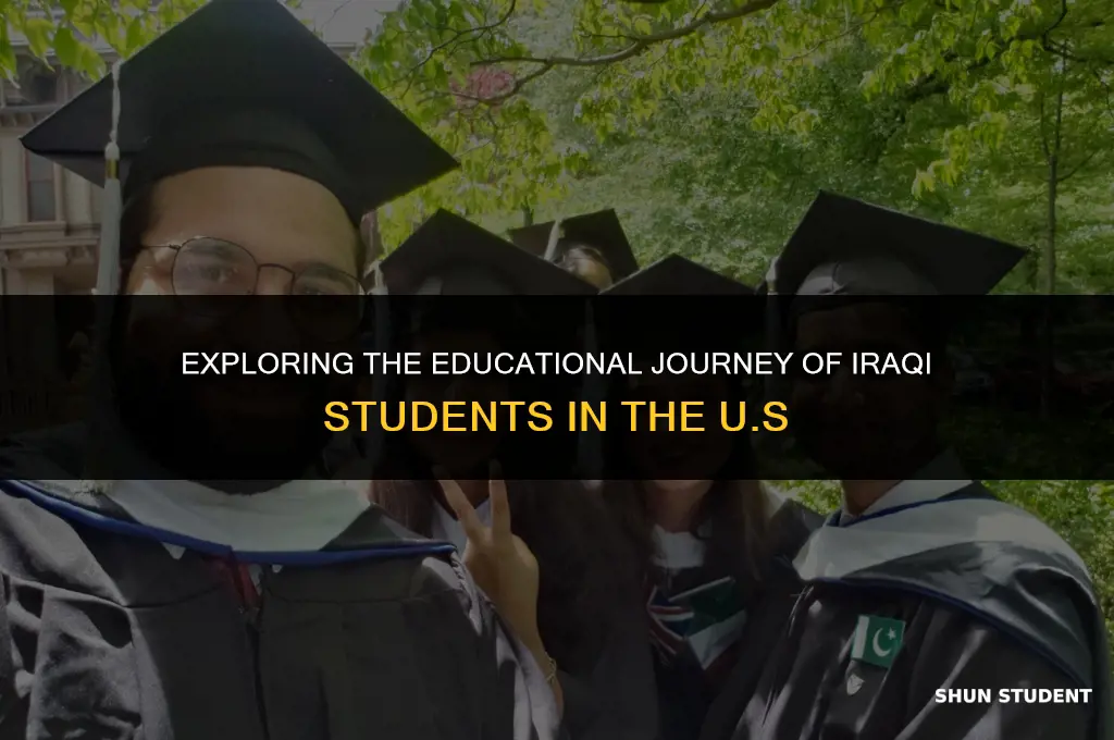 how many students in the united states are from iraq