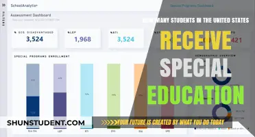 Understanding Special Education: A Snapshot of Student Support in the U.S