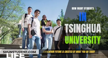 Exploring the Student Body of Tsinghua University