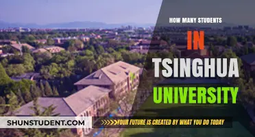 Prestigious Tsinghua University: Student Population