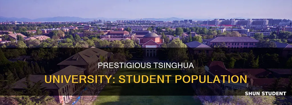 how many students in tsinghua university