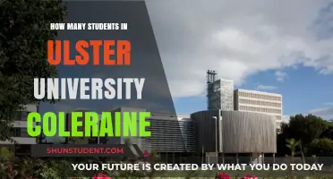 Exploring Ulster University Coleraine's Student Population