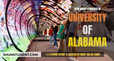 Exploring Enrollment: University of Alabama's Student Population