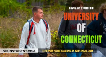 Exploring University of Connecticut's Student Population