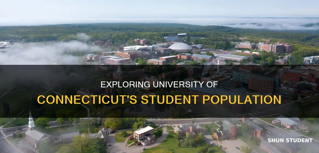 how many students in university of connecticut