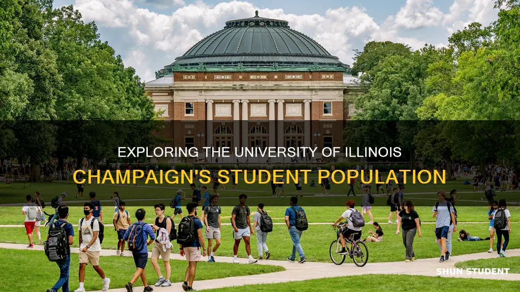 how many students in university of illinois champaign