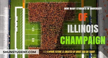 Champaign's University of Illinois: Student Population Insights