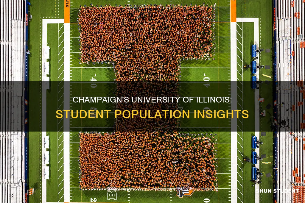 how many students in university of illinois champaign
