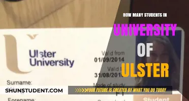 Enrolment Insights: University of Ulster's Student Population