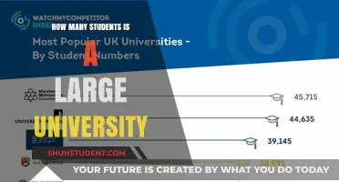 Large Universities: Student Numbers and Campus Life