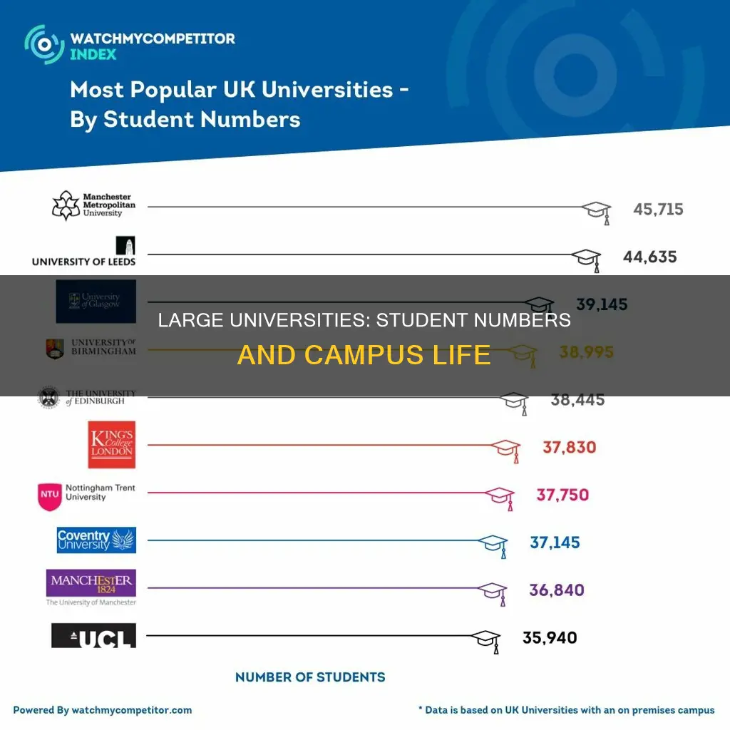 how many students is a large university
