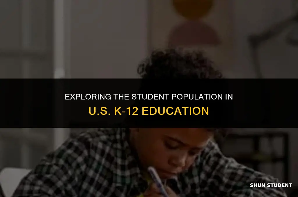 how many students k 12 in united states