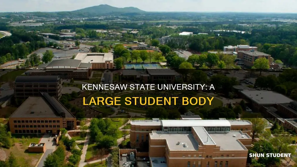 how many students kennesaw state university