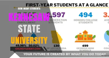 Kennesaw State University: Student Population Insights