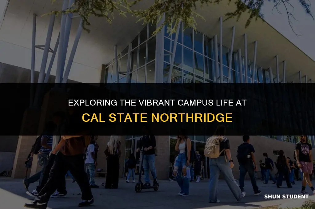 how many students live at cal state northridge