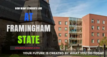 Exploring the Vibrant Campus Life at Framingham State University