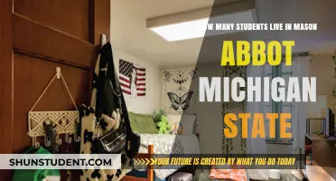 Exploring the Student Population in Mason, Abbot County, Michigan