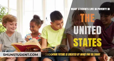 Understanding Poverty: A Glimpse into Students' Lives in the U.S
