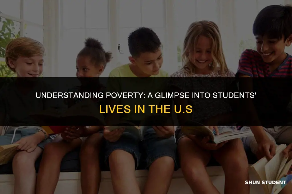 how many students live in poverty in the united states