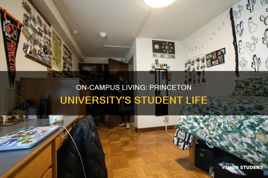 how many students live on campus at princeton university