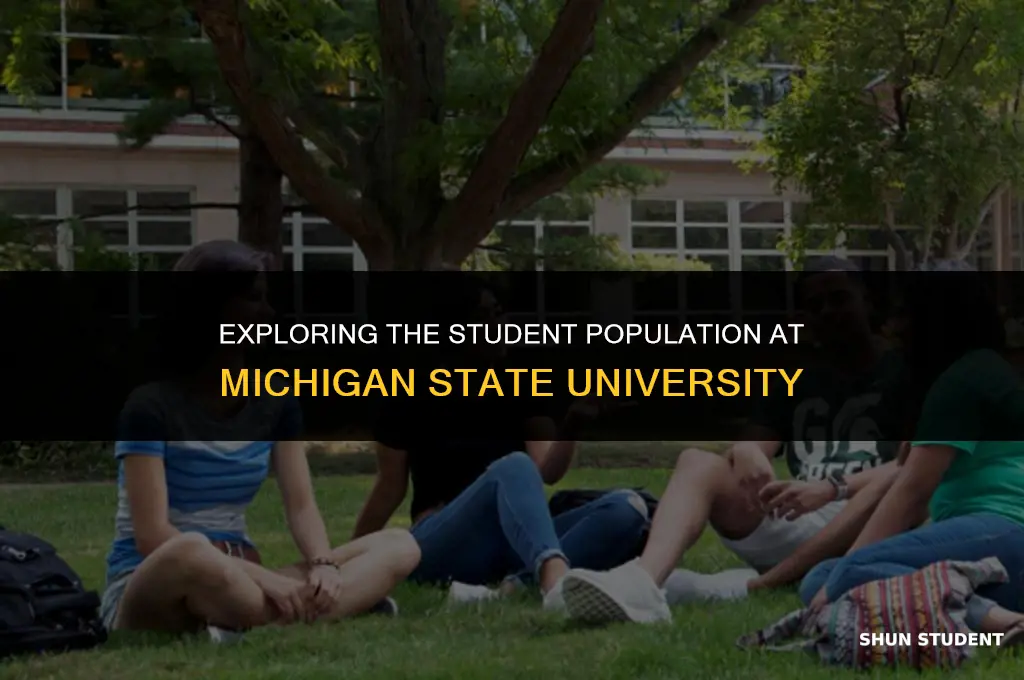 how many students michigan state