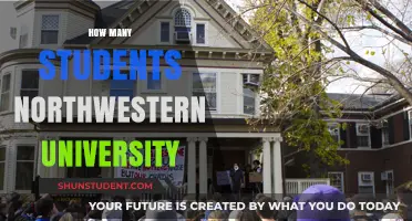 Northwestern University's Student Population: A Comprehensive Overview