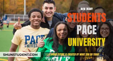 Pace University's Student Population: A Comprehensive Overview