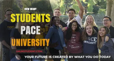 Pace University: Student Population and Campus Life