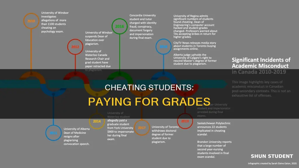 how many students pay for cheating
