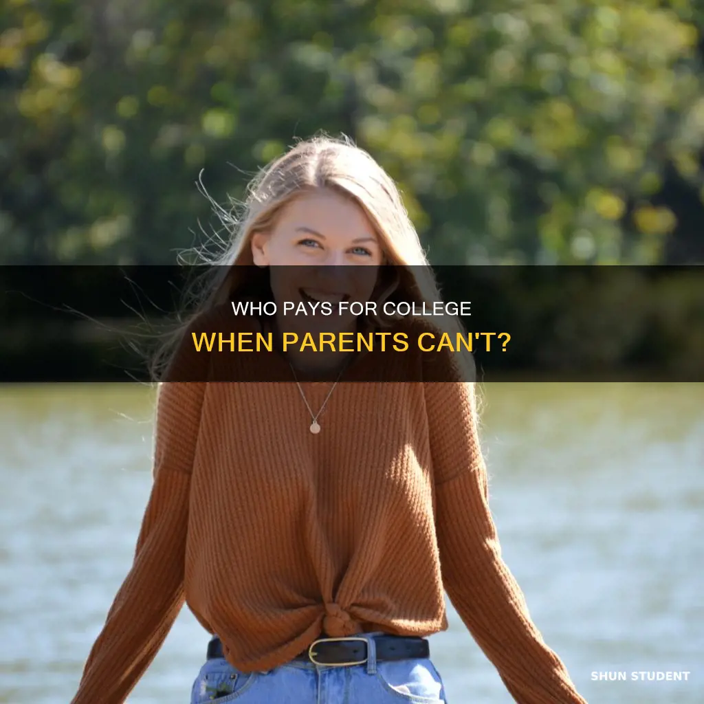 how many students pay for tuition without their parents help