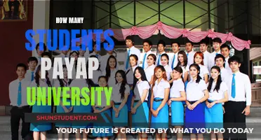 Payap University: A Thriving Student Community