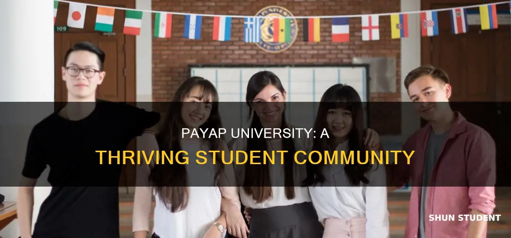 how many students payap university