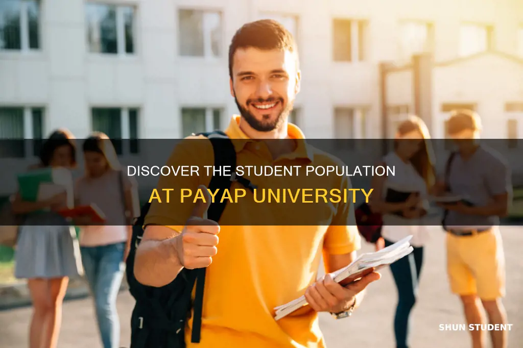 how many students payap university