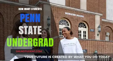 Exploring the Vibrant Community of Penn State Undergraduates