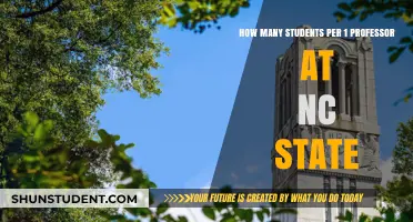Exploring the Student-to-Professor Ratio at NC State University