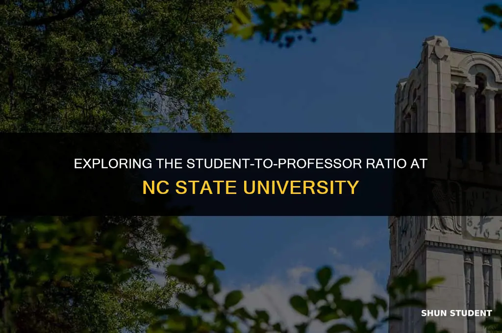 how many students per 1 professor at nc state
