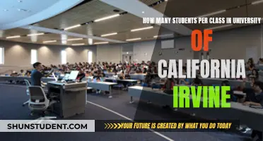 Irvine's University Class Sizes: How Many Students?