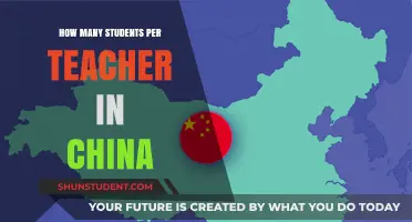 China's Classroom Dynamics: Exploring the Student-Teacher Ratio