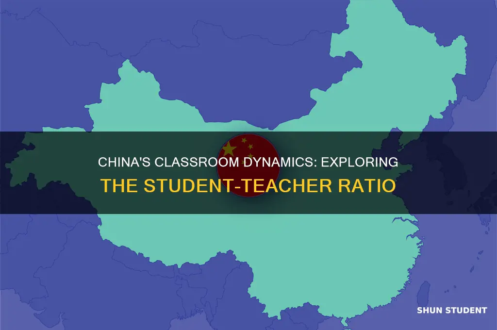 how many students per teacher in china