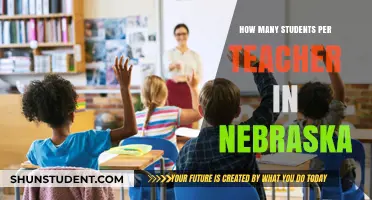 Nebraska's Teacher-Student Ratio: Understanding Classroom Dynamics in the State