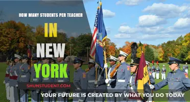 New York's Teacher-Student Ratio: Balancing Education in the Big Apple