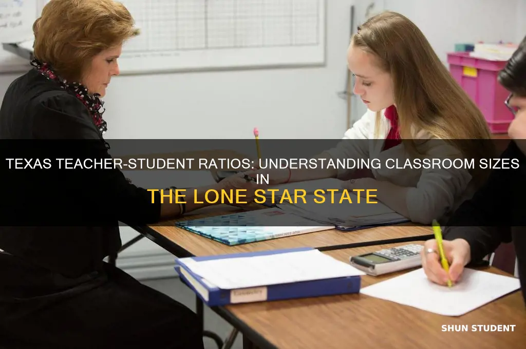 how many students per teacher in texas