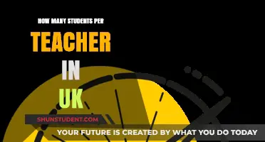 UK Teacher-Student Ratio: Understanding Classroom Sizes in British Education
