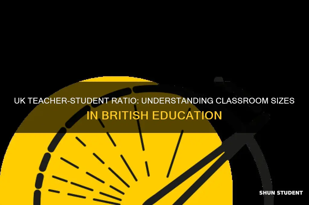 how many students per teacher in uk