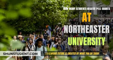 Northeastern University Pell Grant Recipients: Who Benefits?