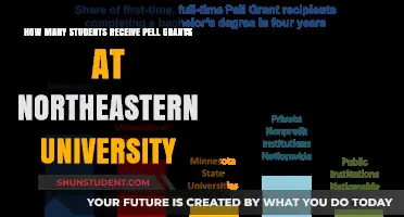 Pell Grants: Northeastern University Student Recipients