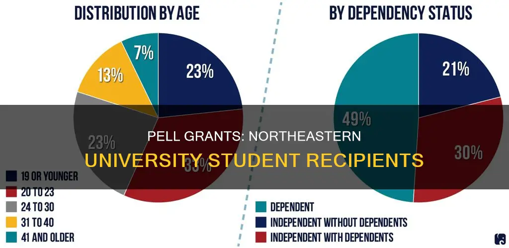 how many students receive pell grants at northeastern university
