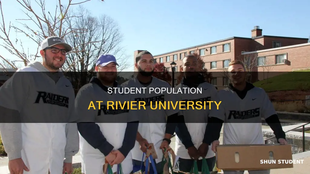 how many students rivier university