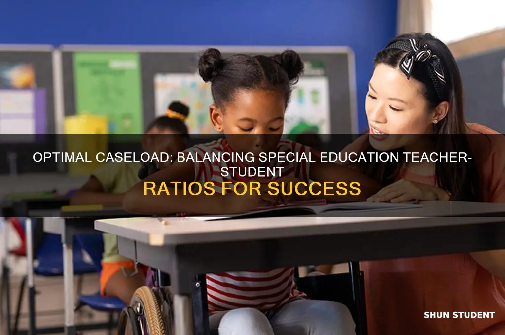 how many students should a special education teacher be servicing