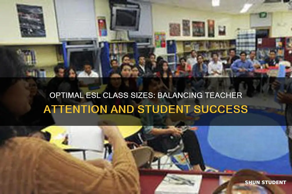 how many students should an esl teacher have